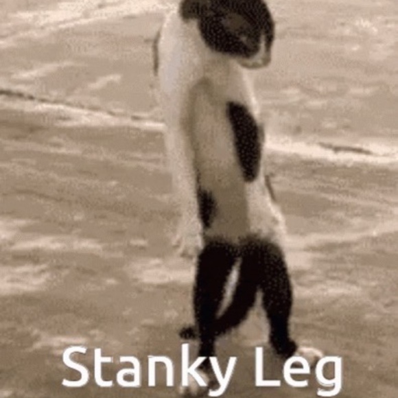 Meet your Posher, Ben - Picture 1 of 1